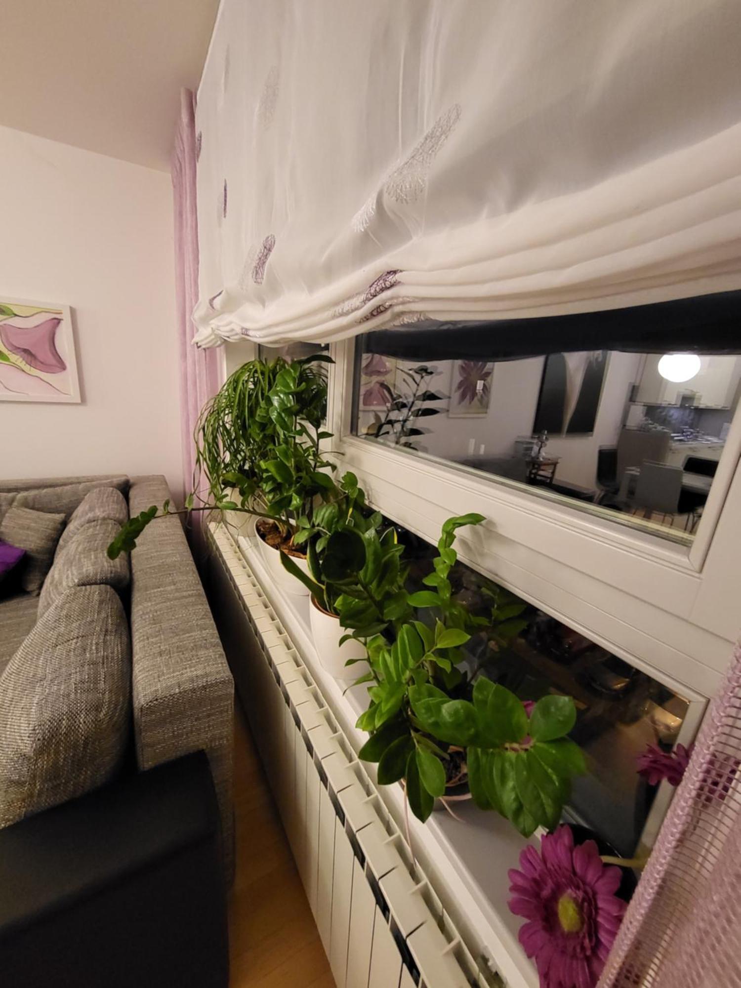 Apartman Jarun Lake Lux Zagreb Dış mekan fotoğraf