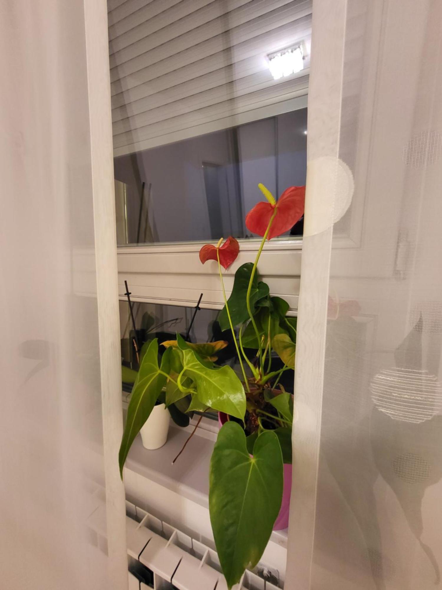 Apartman Jarun Lake Lux Zagreb Dış mekan fotoğraf