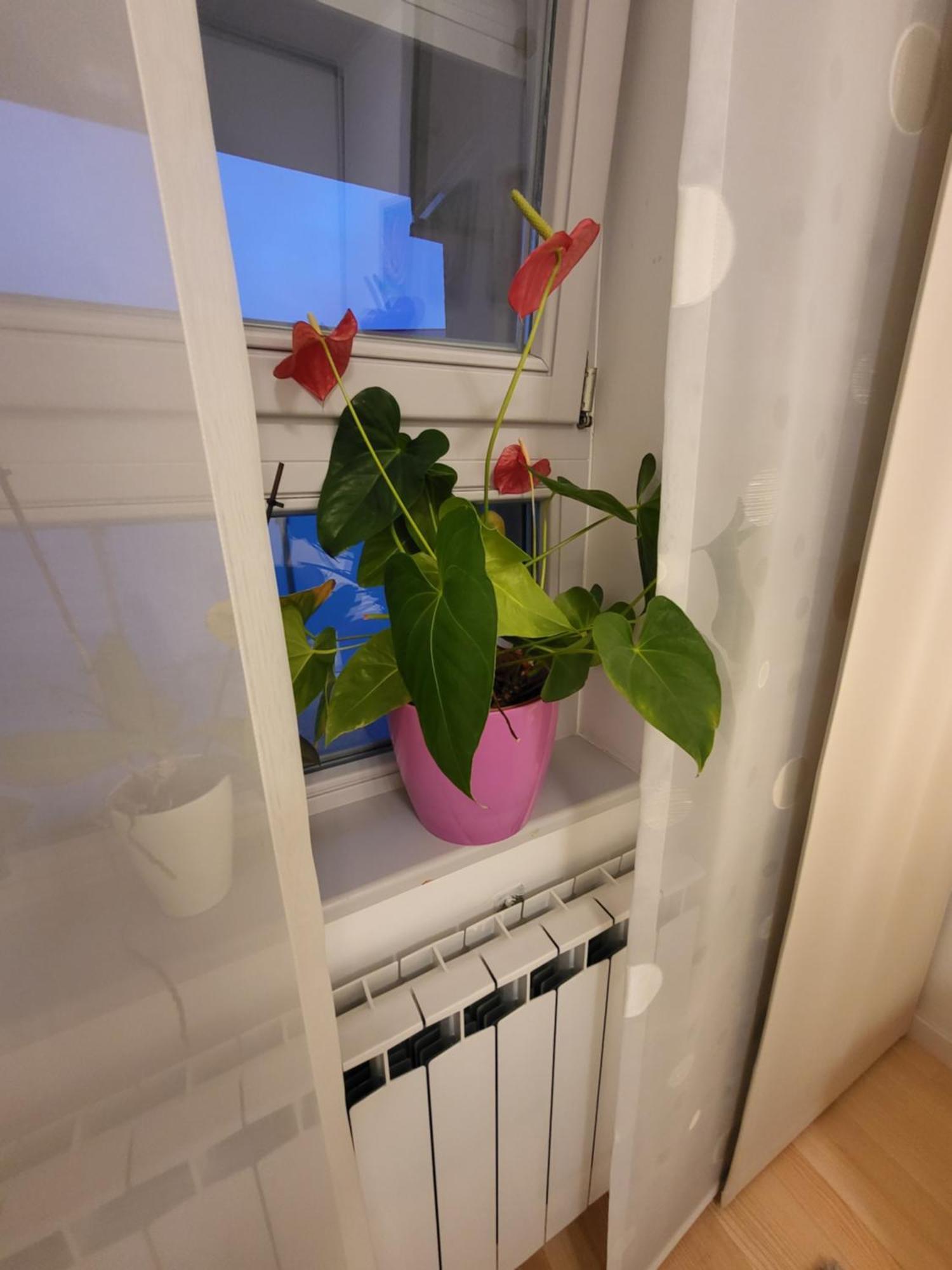 Apartman Jarun Lake Lux Zagreb Dış mekan fotoğraf